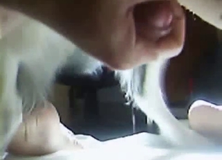 Stimulating animal dick in close-up angle